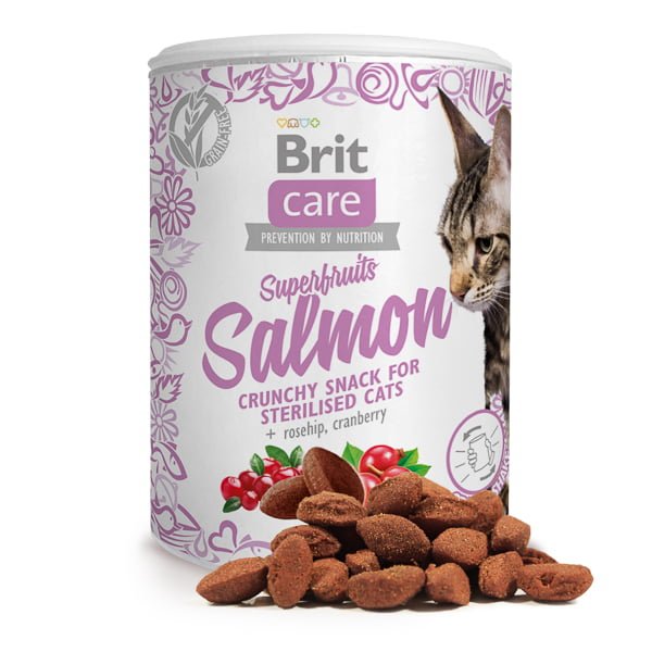Brit Care Cat Snack Superfruits Salmon 100 g