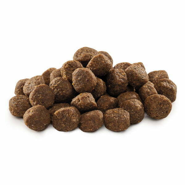 Brit Premium by Nature Junior M 15 kg