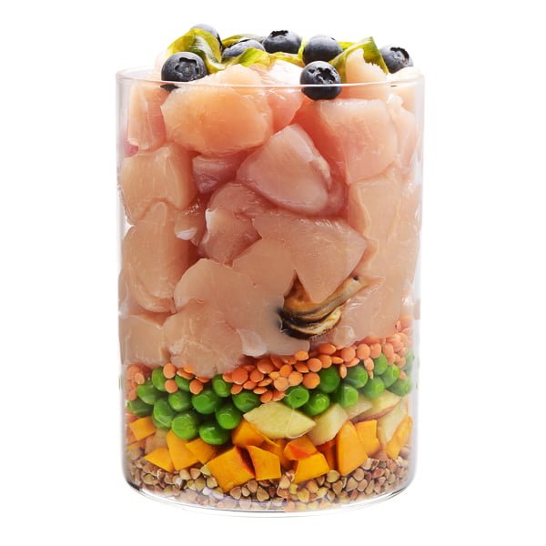 Carnilove True Fresh Chicken Junior Large Breed 1.4 kg