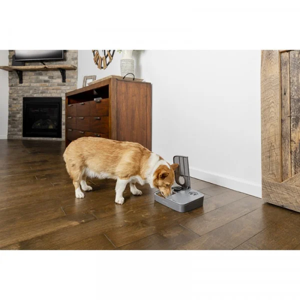 dispenser automat hrana petsafe 2 mese13170