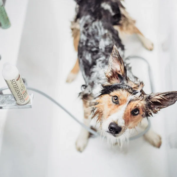 Sampon Greenfields All in one 400ml 1 Sampon Greenfields All in one 400ml