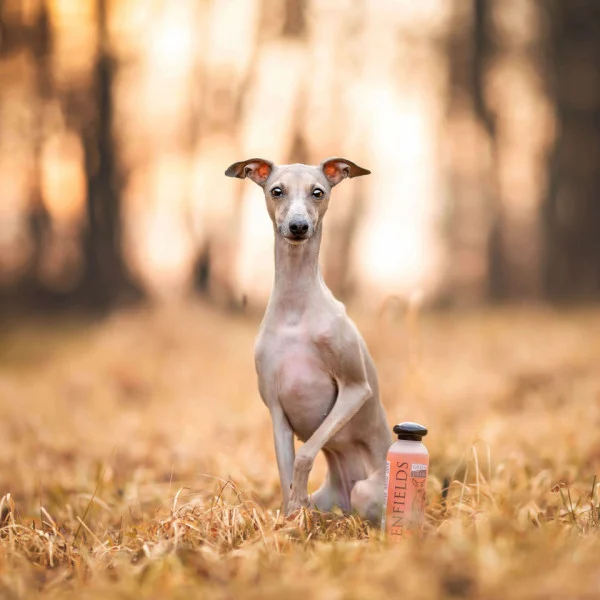 Sampon Greenfields Nude Skin 250ml