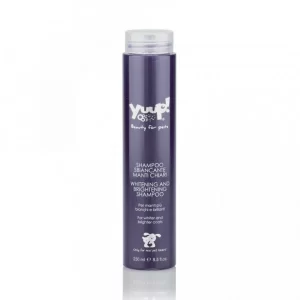 Sampon Yuup Home White 250ml