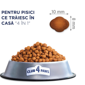 Club 4 Paws Cat Hrana uscata premium Somon 300g - imagine 2