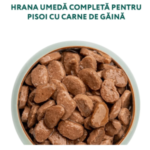 Optimeal Kitten Hrana umeda super premium Pui 85g - imagine 3