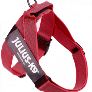 Ham JK9 IDC Color & Gray S Rosu - imagine 3