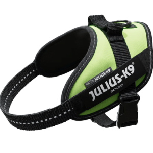 Ham JK9 IDC Power 2XL Neon