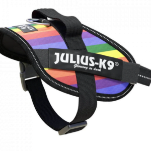 Ham JK9 IDC Power XS Curcubeu