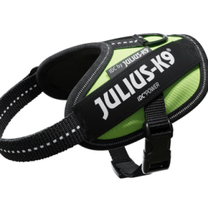 Ham JK9 IDC Power 2XS Neon