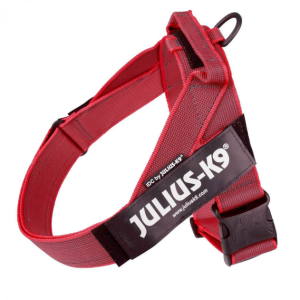 Ham JK9 IDC Color & Gray L Rosu