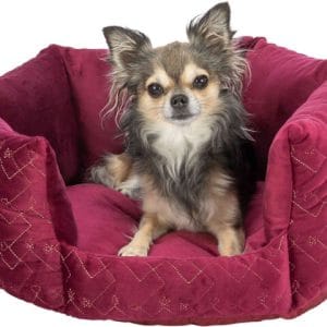 Trixie Pat Natalya 50 cm Bordo