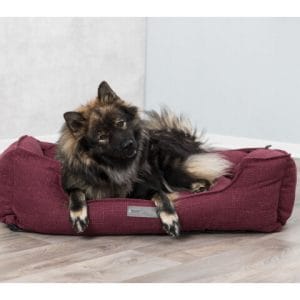 Trixie Pat Talis 80 x 60 cm Visiniu