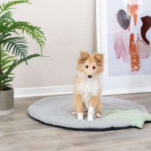 Trixie Covoras Junior Cu Stea 86x80 cm Gri/Verde Menta - imagine 4