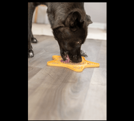 Trixie Farfurie Pentru Hranire Lenta Silicon