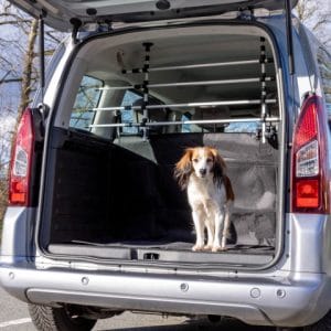 Trixie Grilaj Auto Gri/Negru