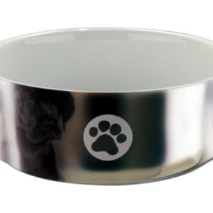 Trixie Castron Ceramic 0.8 l/15 cm Argintiu/Alb