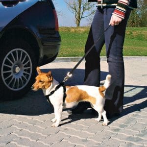 Trixie Ham Si Centura Auto Pentru Caini Negru - imagine 5