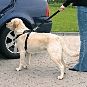 Trixie Ham Si Centura Auto Pentru Caini Negru - imagine 7