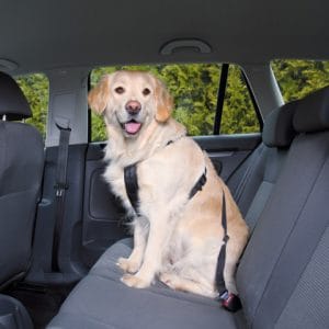 Trixie Ham Si Centura Auto Pentru Caini Negru - imagine 4