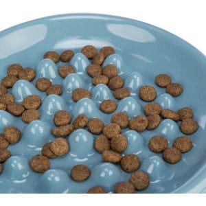 Trixie Castron Ceramic Pentru Hranire Lenta 0.25 l / 18 cm Diferite Culori - imagine 5