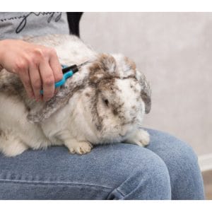 Trixie Foarfeca Pentru Fata/Labute Animale Mici 8 cm - imagine 3