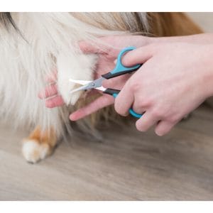 Trixie Foarfeca Pentru Fata/Labute Animale Mici 8 cm - imagine 4