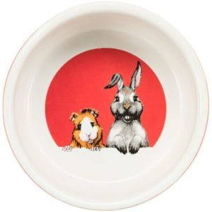 Trixie Castron Ceramic Pentru Cobai/Iepuri Honey & Hopper 250 ml/11 cm Diferite Culori