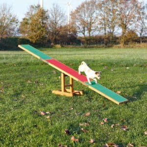Trixie Balansoar Pentru Caini Fun Agility 300x54x34 cm Pana la 80 kg