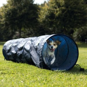 Trixie Tunel Mini Pentru Caini Fun Agility 40 cm/2 m Albastru - imagine 3