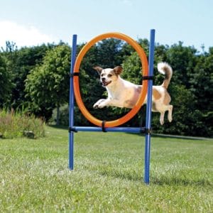 Trixie Inel Pentru Caini Fun Agility Plastic 115x3 cm 65 cm