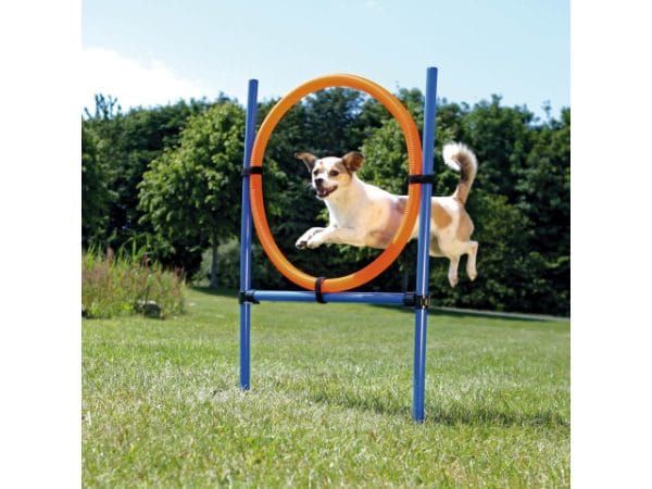 Trixie Inel Pentru Caini Fun Agility Plastic 115x3 cm 65 cm