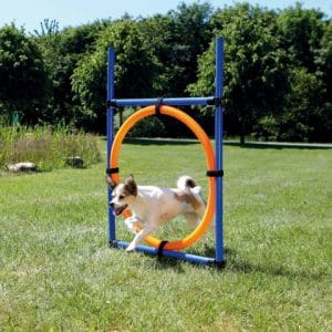 Trixie Inel Pentru Caini Fun Agility Plastic 115x3 cm 65 cm - imagine 4
