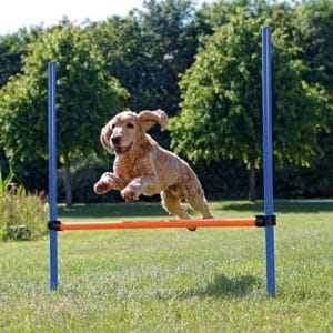 Trixie Obstacol Pentru Caini Fun Agility Plastic 123x115 cm