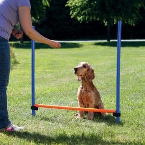 Trixie Obstacol Pentru Caini Fun Agility Plastic 123x115 cm - imagine 4
