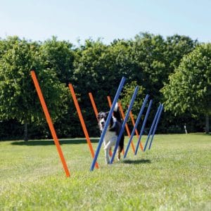 Trixie Slalom Pentru Caini Fun AgilityPlastic 3x115 cm 12 buc - imagine 3