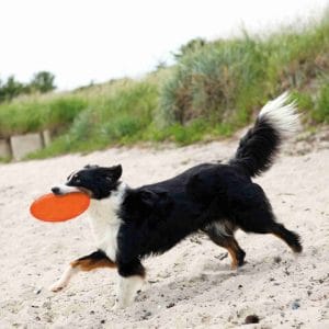 Trixie Jucarie Pentru Caini Disc Frisbee Plutitor TPR 18 cm