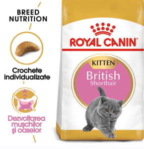 Royal Canin British Shorthair Kitten hrana uscata pisica junior, 400 g