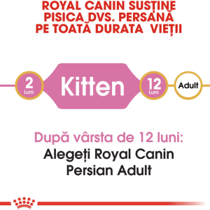 Royal Canin Persian Kitten hrana uscata pisica junior, 400 g