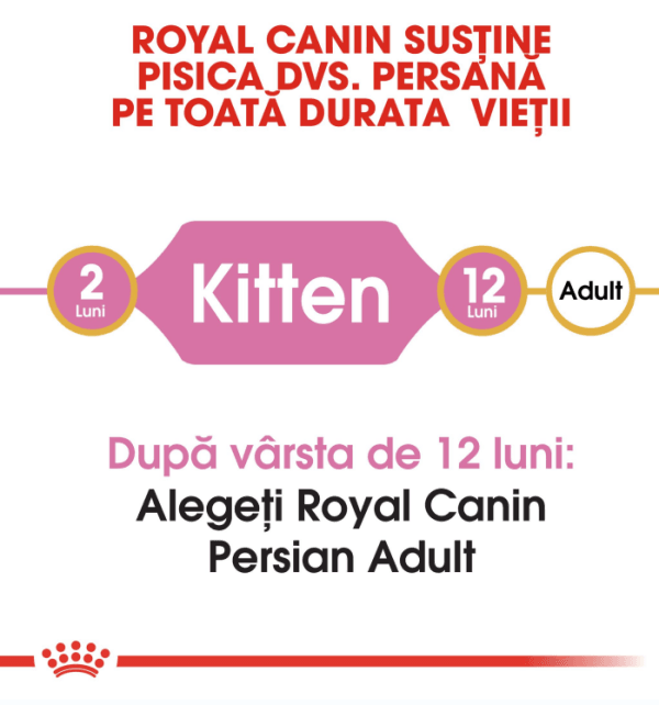 Royal Canin Persian Kitten hrana uscata pisica junior, 400 g