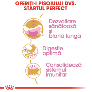 Royal Canin Persian Kitten hrana uscata pisica junior, 400 g