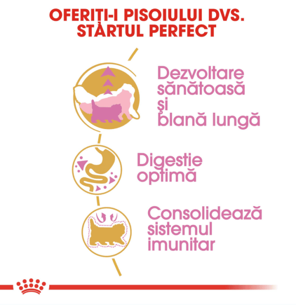 Royal Canin Persian Kitten hrana uscata pisica junior, 400 g