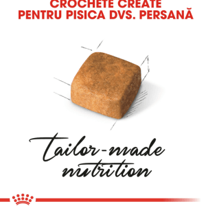 Royal Canin Persian Kitten hrana uscata pisica junior, 400 g