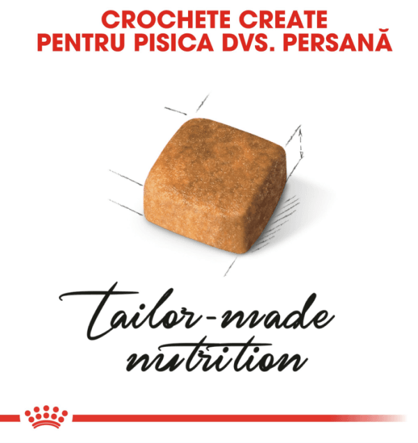 Royal Canin Persian Kitten hrana uscata pisica junior, 400 g