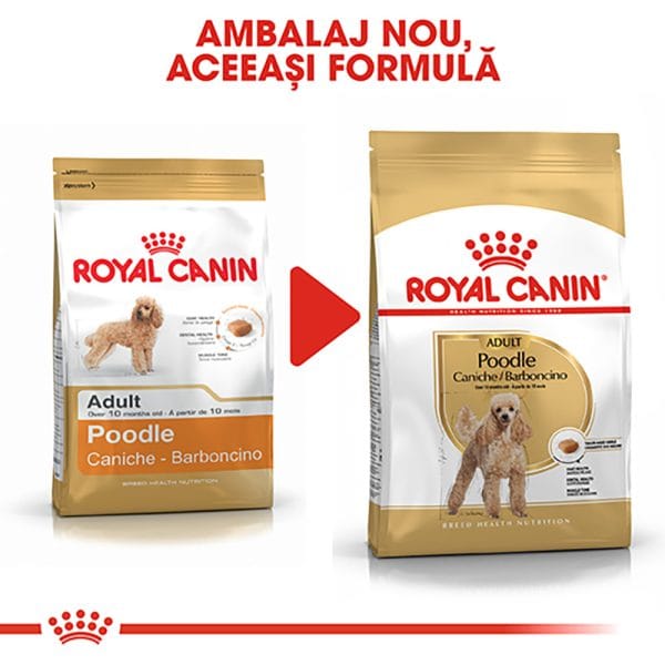 Royal Canin Poodle Adult hrana uscata caine, 1.5 kg
