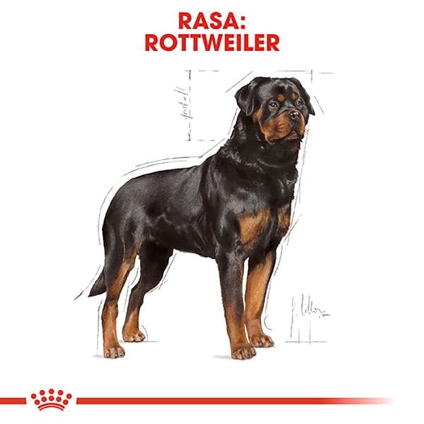 Royal Canin Rottweiler Adult hrana uscata caine, 12 kg