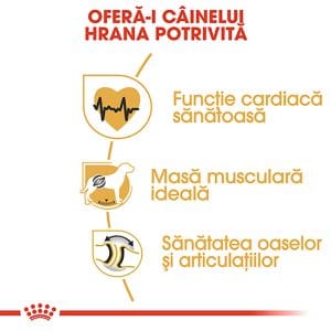 Royal Canin Rottweiler Adult hrana uscata caine, 12 kg