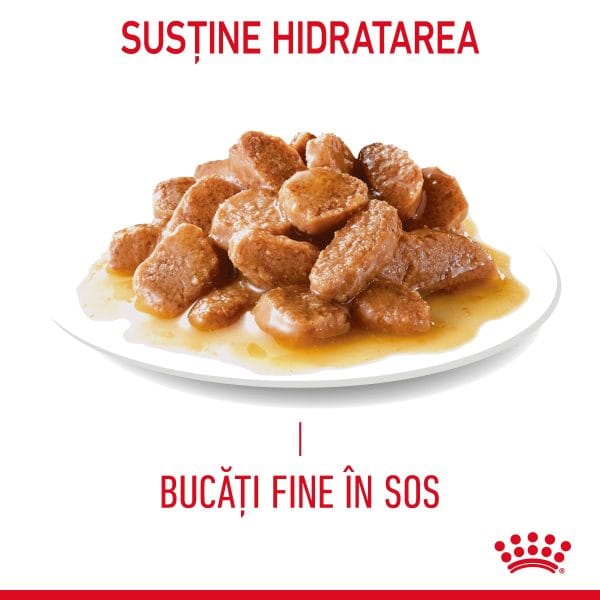 Royal Canin Hair&Skin Care Adult hrana umeda pisica, piele si blana (in sos), 12 x 85 g
