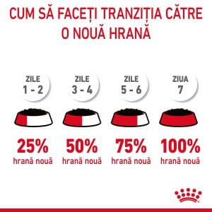 Royal Canin Hair&Skin Care Adult hrana umeda pisica, piele si blana (in sos), 12 x 85 g