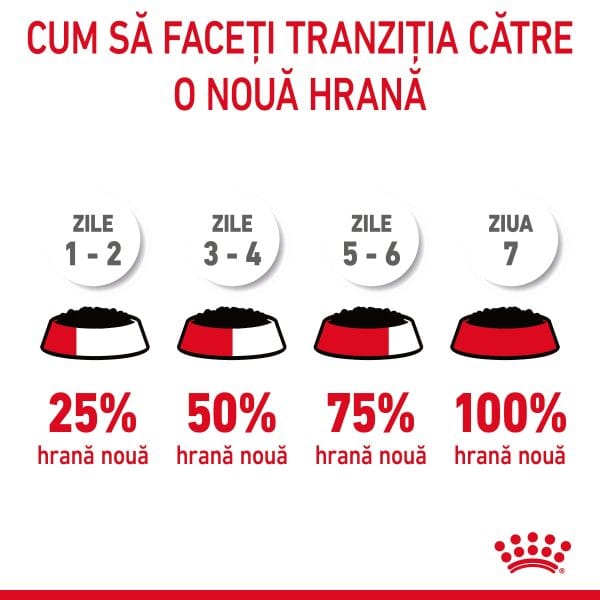Royal Canin Hair&Skin Care Adult hrana umeda pisica, piele si blana (in sos), 12 x 85 g