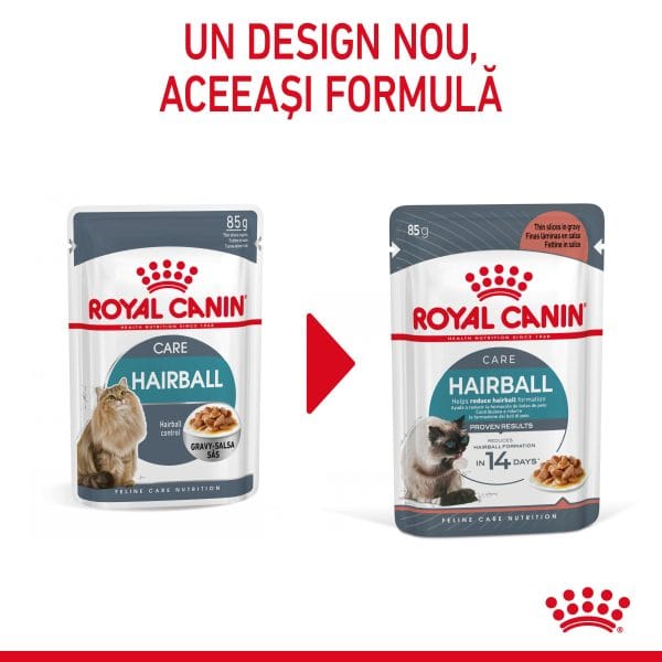 Royal Canin Hairball Care Adult hrana umeda pisica, limitarea ghemurilor de blana (in sos), 12 x 85 g